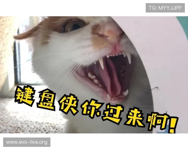 续约后怒怼键盘侠只看结果不看努力的背后真相与心声