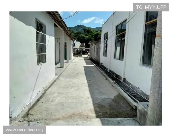 9日红黑榜聚焦亚历山大单点爆破创新高替补双星合砍38分不负期待