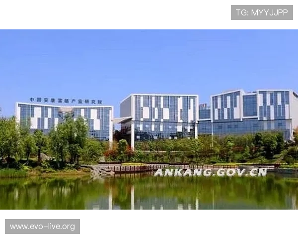 澳门太阳城集团发展战略与区域经济协同创新研究分析