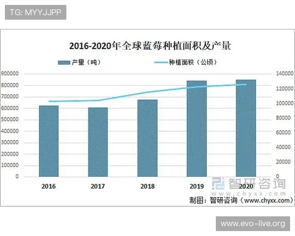 世界杯亚盘赔率解析与投注趋势深度观察报告全景分析市场变化趋势
