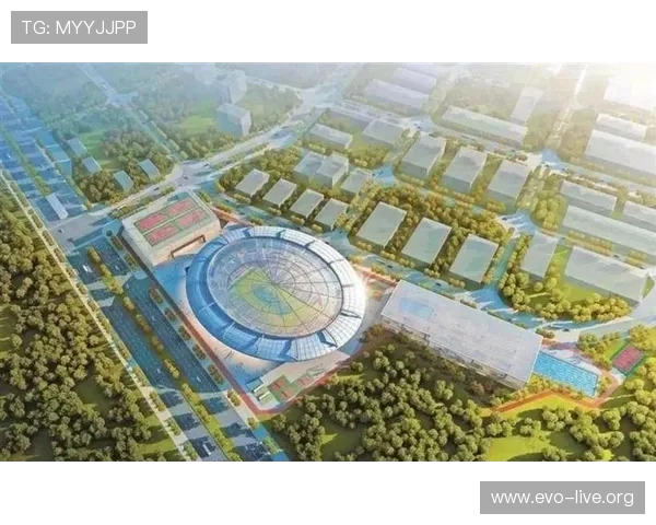 C体育引领行业新潮流聚焦赛事发展与未来体育生态建设新篇章开启